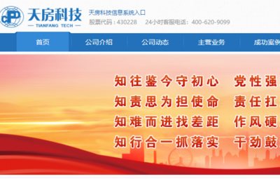 天津市天*科技发展股份网站建设基本流程